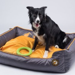 Kiwi Walker Sofa hundeseng - BL