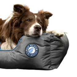 Kiwi Walker Sofa hundeseng - BL