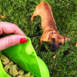 Godbidstaske KIWI WALKER