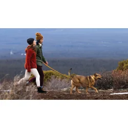 Ruffwear Roamer Bungee Line - Orion Blue