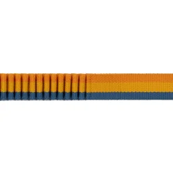 Ruffwear Roamer Bungee Line - Yellow snow