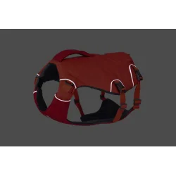 Orange Confluence� Redningsvest til Hund | Ruffwear