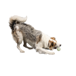 Let's play GLOW BALL - MAXI