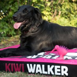 Hundemadras - KIWI WALKER - PINK