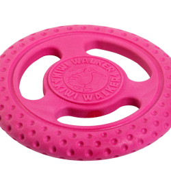 Let's play FRISBEE - MINI