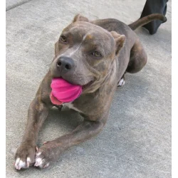 Comets ball Swift  - Pink