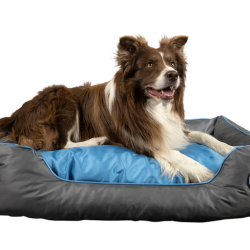 Kiwi Walker Sofa hundeseng - BL