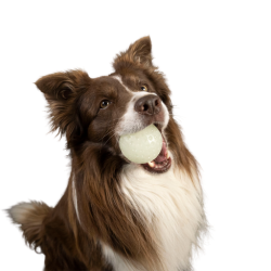 Let's play GLOW BALL - MAXI