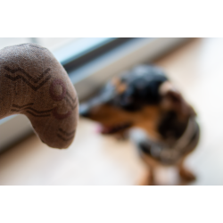 Plush Worm - EARTH - 4elements