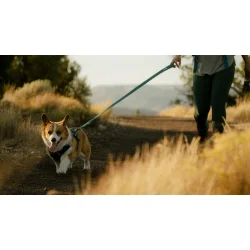 Ruffwear Front Range flex, line 1,5 m - basalt gray 