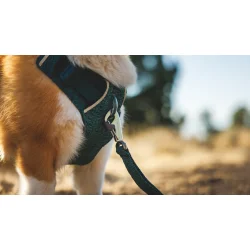 Ruffwear Front Range flex, line 1,5 m - basalt gray 