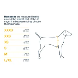 Front Range Flex Sele - Ruffwear Rose/Violet