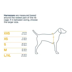 Ridgeline Sele - Ruffwear Obsidian Black 