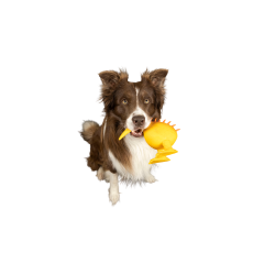  CARACTER Whistle Red Helmet - Orange