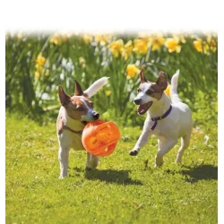 Kong Jumbler Ball L/XL 17,78 cm