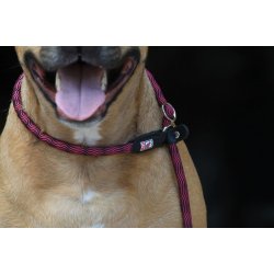 KIWI Walker 2in1 Hundesnor - Retriver line - GRN