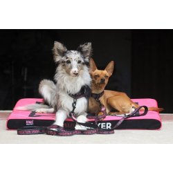 KIWI Walker halsbnd - PINK