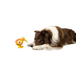 CARACTER Whistle Kiwi Nurse - Orange