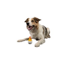 CARACTER Whistle Kiwi Baby - Orange