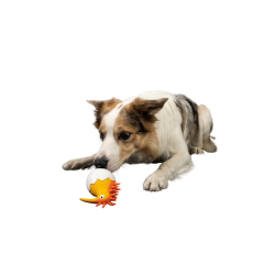 CARACTER Whistle Kiwi Baby - Orange