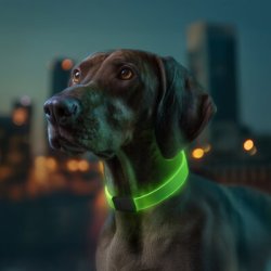 Lyshalsbnd - 4 farvemuligheder