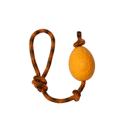 Let's play EGG  - MAXI 