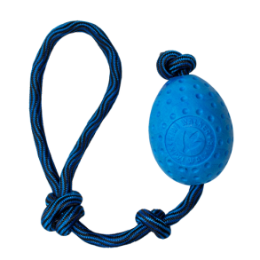 Let's play EGG  - MAXI 