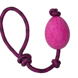 Let's play EGG  - MAXI 