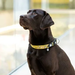 Monkey Maniac halsbnd - neophren 