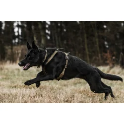 Non-stop Dogwear Working Dog sele