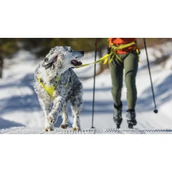 Omnijore - L�bes�t - Ruffwear