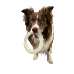 Let's play GLOW RING - MAXI