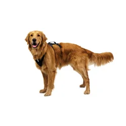 Ridgeline Sele - Ruffwear Obsidian Black 