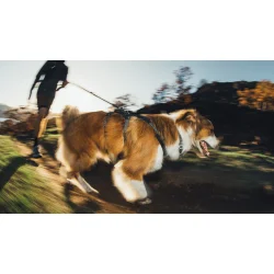 Ridgeline Sele - Ruffwear Obsidian Black 