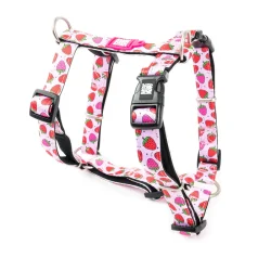 Strawberry Dream - neopren sele