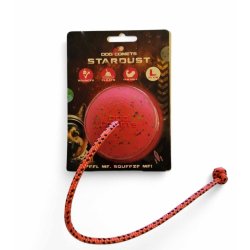 Dog Comet Stardust bold Large m/snor