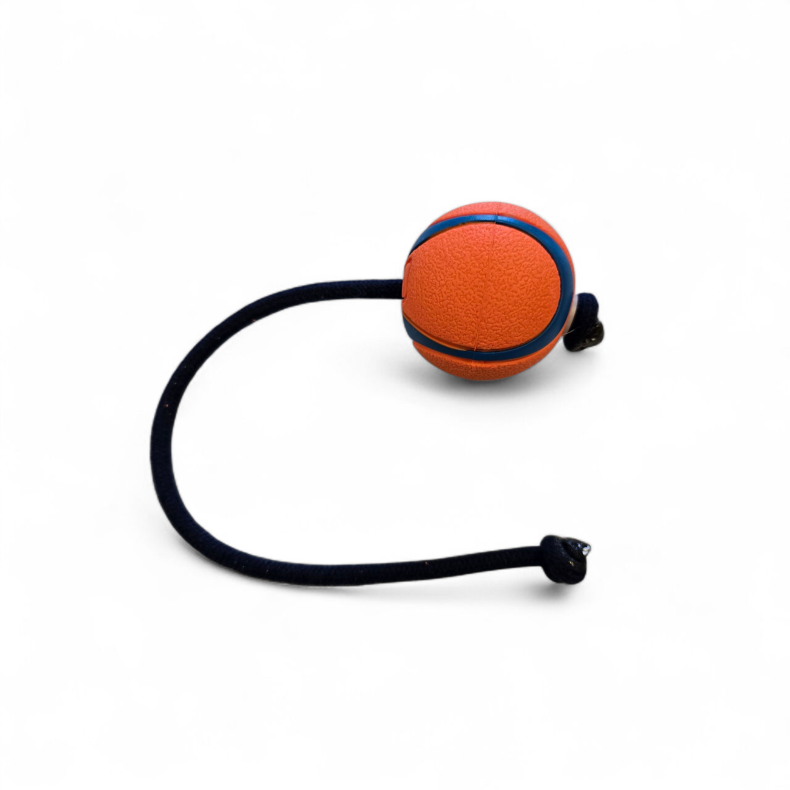 Ultra Ball - MED snor Chuck It! medium