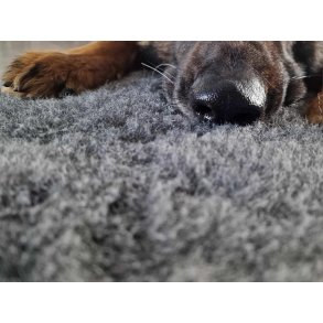 Vetbed 100 % Ren Britisk Uld - Large