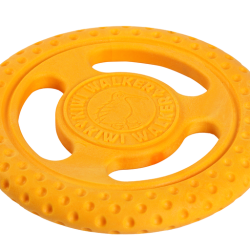 Let's play FRISBEE - MINI