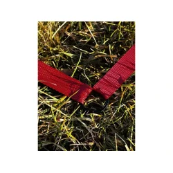 Felt til fri apportering 4 x 4 m