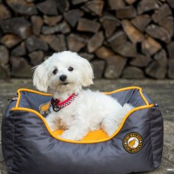 Kiwi Walker Sofa hundeseng - BL