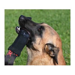 Lang bideplse FIT m/2 greb