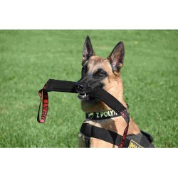 Lang bideplse FIT m/2 greb