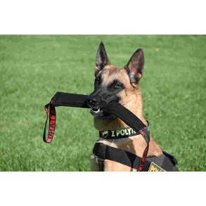 Lang bideplse FIT m/2 greb