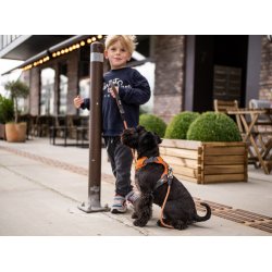 Comfort Walk Pro Sele - Bl - Dog Copenhagen