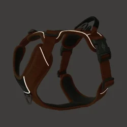 Comfort Walk Pro� Sele - Sort - Dog Copenhagen