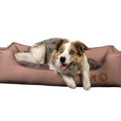 4elements Sofa Bed - FIRE - hundeseng