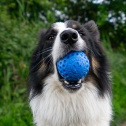 Let's play BALL  - MAXI 