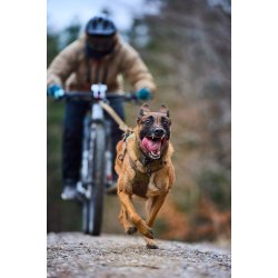 Freemotion Non-stop Dogwear Working Dog sele