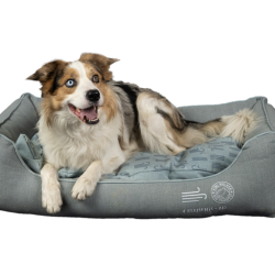 4elements Sofa Bed - AIR - hundeseng